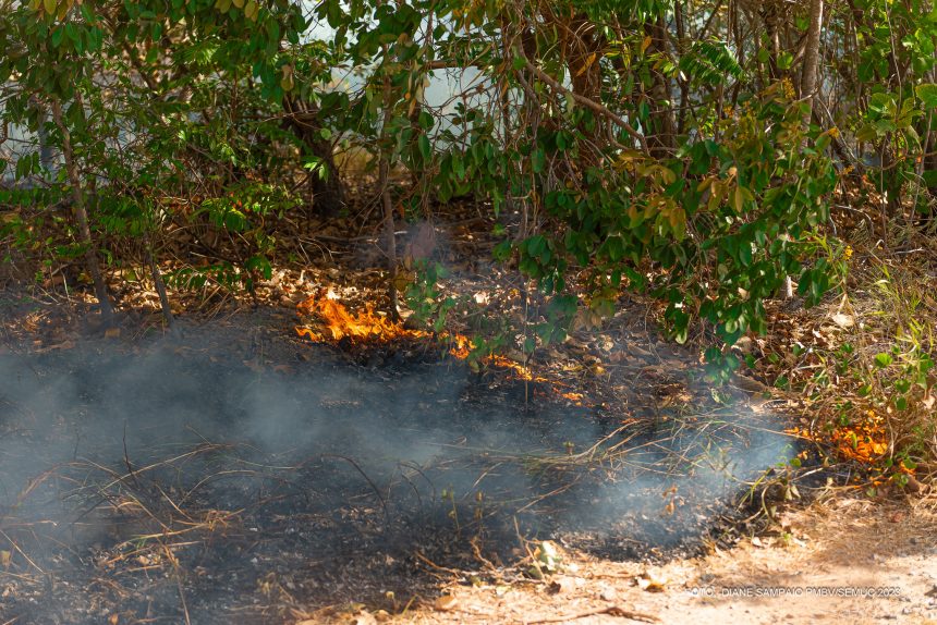 Prefeitura de Boa Vista lança campanha de Prevenção contra queimadas e incêndios