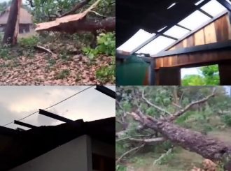 Temporal derruba árvores, destrói casas e deixa moradores sem energia elétrica na comunidade indígena Pium, em Bonfim; veja vídeo