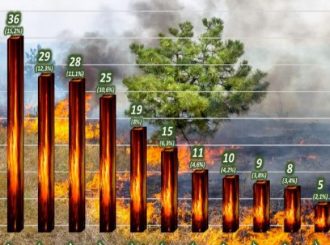 Roraima registrou mais de 230 focos de fogo em 15 dias