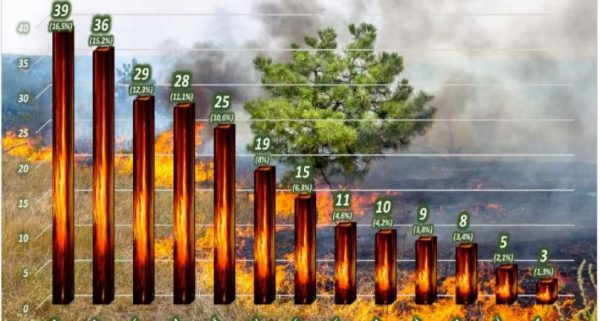Roraima registrou mais de 230 focos de fogo em 15 dias