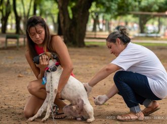 Cerca de 3 mil animais são vacinados contra a raiva na zona Rural de Boa Vista