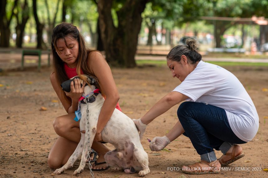 Cerca de 3 mil animais são vacinados contra a raiva na zona Rural de Boa Vista