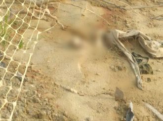 No Baixo Rio Branco: moradores pedem ajuda para remoção de ossada humana encontrada após nível do rio baixar