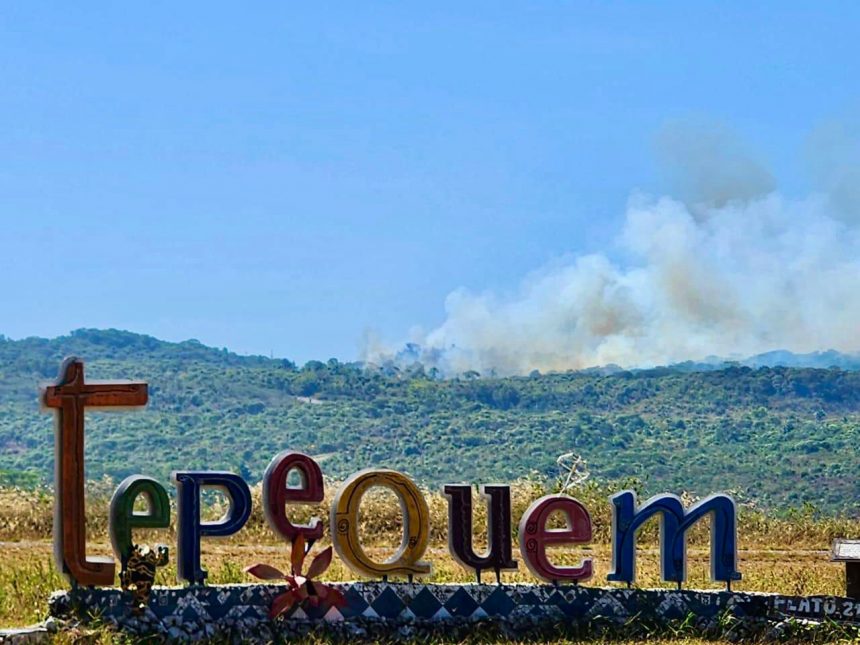 Moradores do Tepequém relatam preocupação com aumento dos focos de incêndio na região