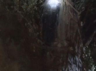 Homem morre após atropelar cavalos e capotar carro na BR-174