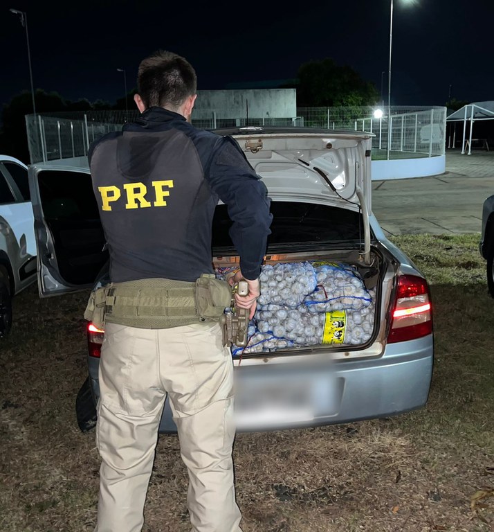 Homem é preso em RR com uma tonelada de alho contrabandeado da Guiana