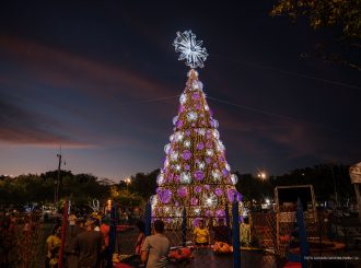 Prefeitura acende árvores de Natal neste sábado em Boa Vista