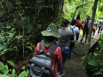 IFRR oferta curso de Identificador Florestal