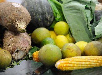 Agrotóxicos: 25% dos alimentos de origem vegetal no país têm resíduos