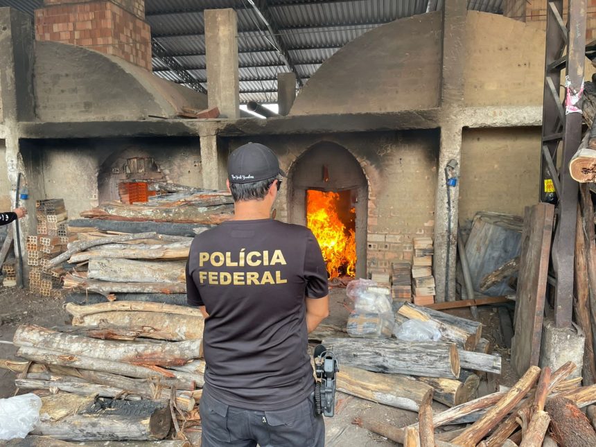 Polícia Federal incinera quase 3 toneladas de drogas em Roraima