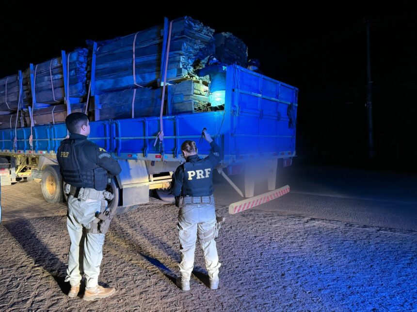 PRF: Operação Samaúma prende 9 pessoas e apreende arma, munições, madeira e ouro em rodovias de RR