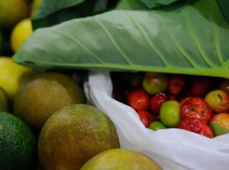 Registro de novos agrotóxicos segue em alta no Brasil, diz Mapa