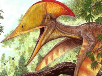 Nova espécie de dinossauro é descoberta por pesquisadores brasileiros e chineses