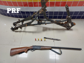 PRF apreende carga de madeira ilegal, arma e munições em Caracaraí