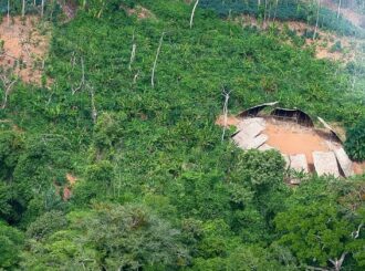 Desmatamento em áreas protegidas da Amazônia cai 73% em 2023