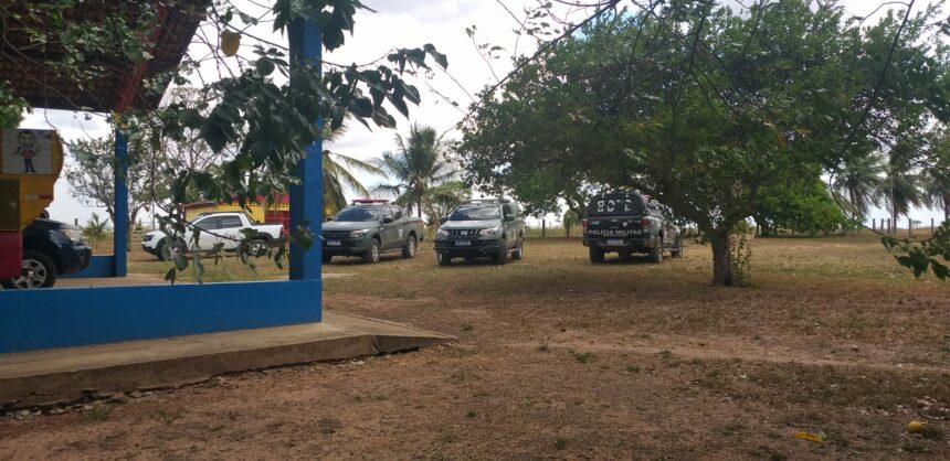 Polícia apreende mais de 200 galos e ‘ringue’ de rinha na fazenda do ex-senador Telmário Mota