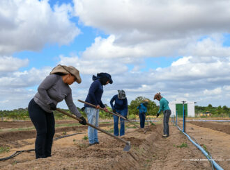 Prefeitura de Boa Vista inicia preparativos para 2º Dia de Campo em Hortifruticultura