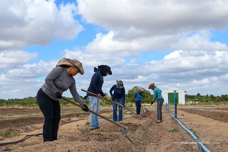 Prefeitura de Boa Vista inicia preparativos para 2º Dia de Campo em Hortifruticultura