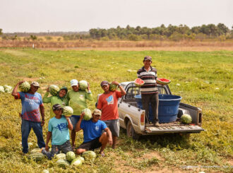 Apoio da Prefeitura de Boa Vista resultou na colheita de quase 2,5 toneladas de melancia no Truaru