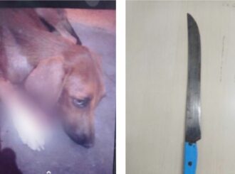 Homem invade casa de vizinhos e ataca cachorros com terçado em Mucajaí