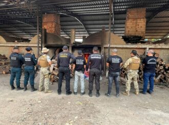 Mais de uma tonelada de droga é incinerada em Boa Vista