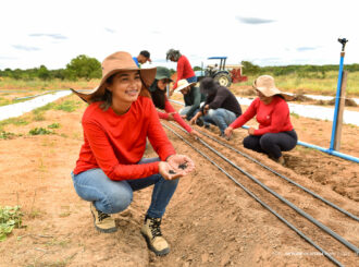 ‘Dia de Campo’: evento apresenta experimentos e novas tecnologias aplicadas à hortifruticultura em Boa Vista