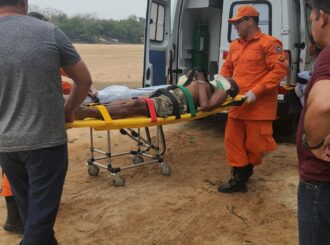 Idoso desaparecido é encontrado em mata na capital