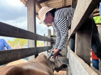 Senar-RR divulga cursos para formação profissional rural; veja como participar