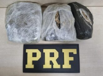 PRF: mais de 1kg de drogas é apreendido em transporte intermunicipal na BR-174