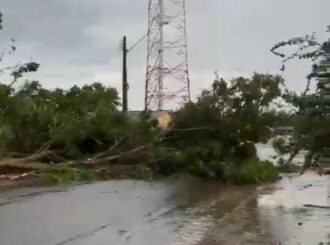 Forte chuva derruba árvore, rompe aterro e causa transtorno no Sul de RR