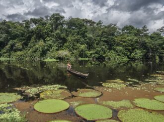 CESE e Coiab ofertam até R$ 400 mil para projetos de gestão territorial e ambiental indígena na Amazônia Legal