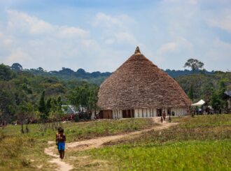 Servidores da União vão reforçar atendimento aos Yanomami