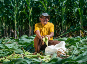 Prefeitura de Boa Vista inicia emissão de Cadastro Nacional da Agricultura Familiar