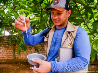 Em Boa Vista: Prefeitura orienta população a reforçar cuidados contra o Aedes aegypti durante período chuvoso