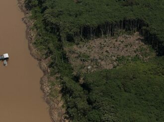 2ª edição: abertas inscrições para curso gratuito de jornalismo investigativo ambiental e geojornalismo