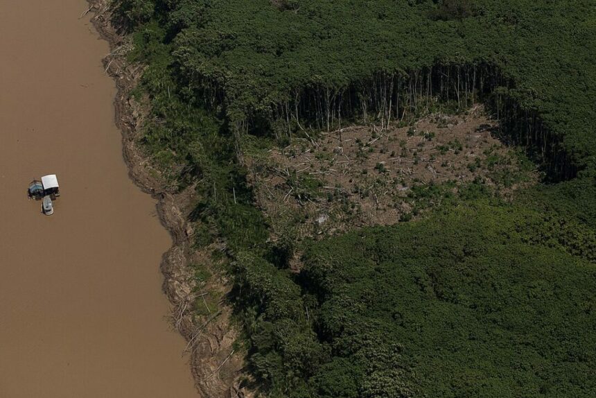 2ª edição: abertas inscrições para curso gratuito de jornalismo investigativo ambiental e geojornalismo