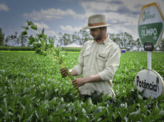 Empresários e produtores rurais apostam na AgroBV 2024 para apresentar novas cultivares em RR