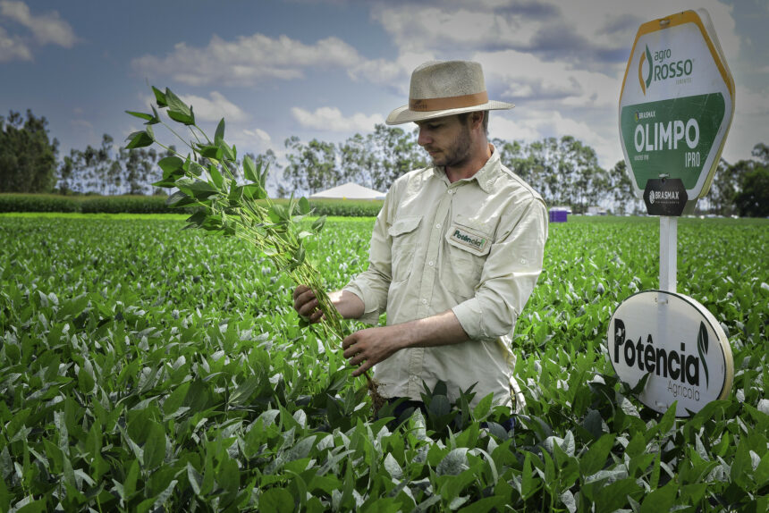 Empresários e produtores rurais apostam na AgroBV 2024 para apresentar novas cultivares em RR