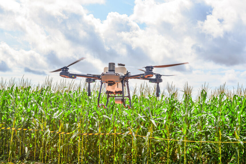 AgroBV 2024: mais de 60 expositores apresentam produtos e equipamentos modernos da tecnologia rural