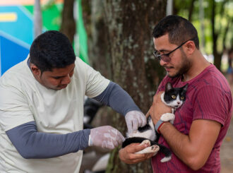 Mais de 20 mil animais foram imunizados em campanha contra raiva, em Boa Vista