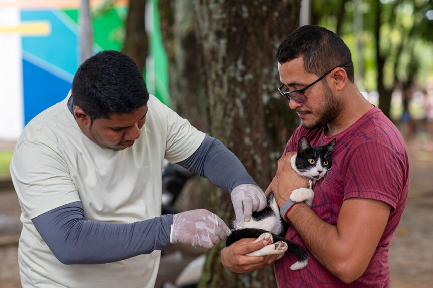 Campanha Antirrábica em Boa Vista começa neste sábado, 3