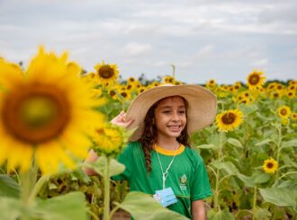 Alunos de Boa Vista se encantam com campo de girassóis e aprendem sobre a cultura agrícola