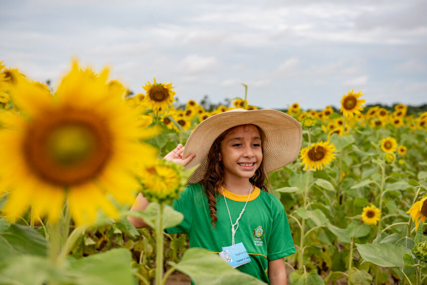 Alunos das escolas de Boa Vista visitam campo de girassóis e se encantam ao aprender sobre cultura agrícola