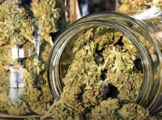 Em Roraima, apreensões de maconha crescem mais de 24.000% em 10 anos