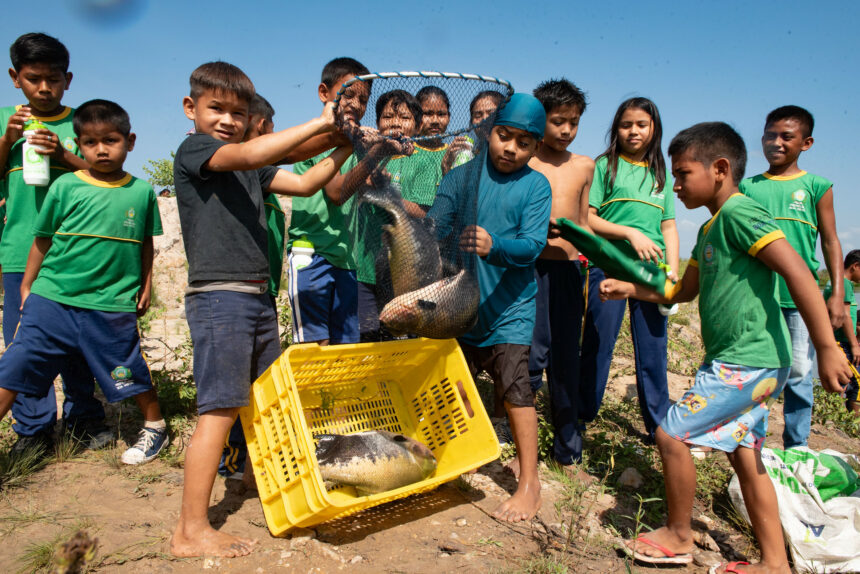 Por meio de projeto da Prefeitura de Boa Vista, comunidades indígenas realizam despesca de 4 toneladas de tambaqui