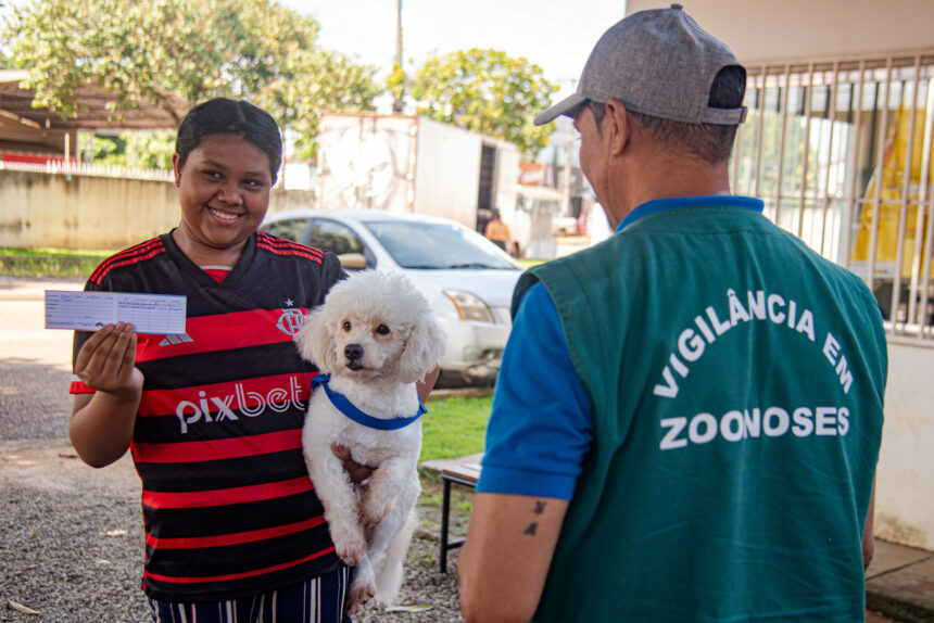 Vacinação Antirrábica: mais de 6 mil cães e gatos foram imunizados no primeiro dia de campanha em Boa Vista