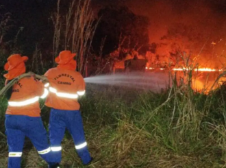 Situação de emergência por incêndio florestal cresceu 354% em agosto
