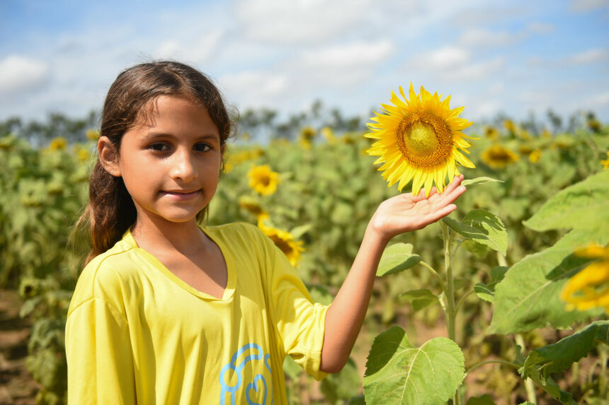 Visitação ao Campo de Girassóis: integrantes de projetos sociais da Prefeitura de Boa Vista aprendem sobre cultivo durante passeio