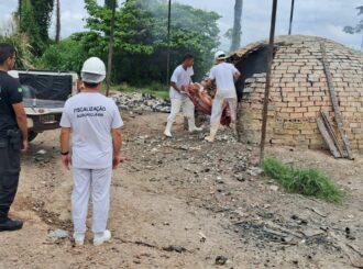Operação fecha açougue clandestino em fazenda e polícia apreende carnes que seriam vendidas em restaurante de Rorainópolis