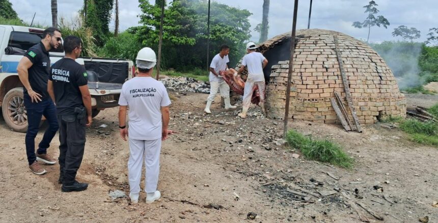 Operação fecha açougue clandestino em fazenda e polícia apreende carnes que seriam vendidas em restaurante de Rorainópolis